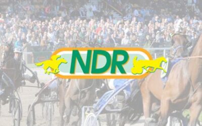 De Stichting Nederlandse Draf- en Rensport (NDR)